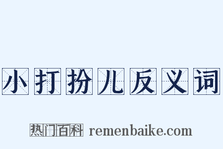 小打扮儿反义词是什么意思的图片